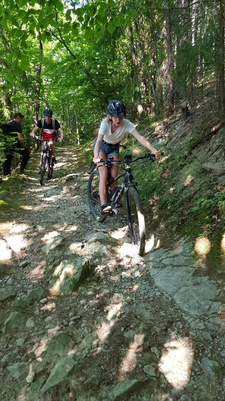Real Sofia and Vitosha hybrid tour with mountain view