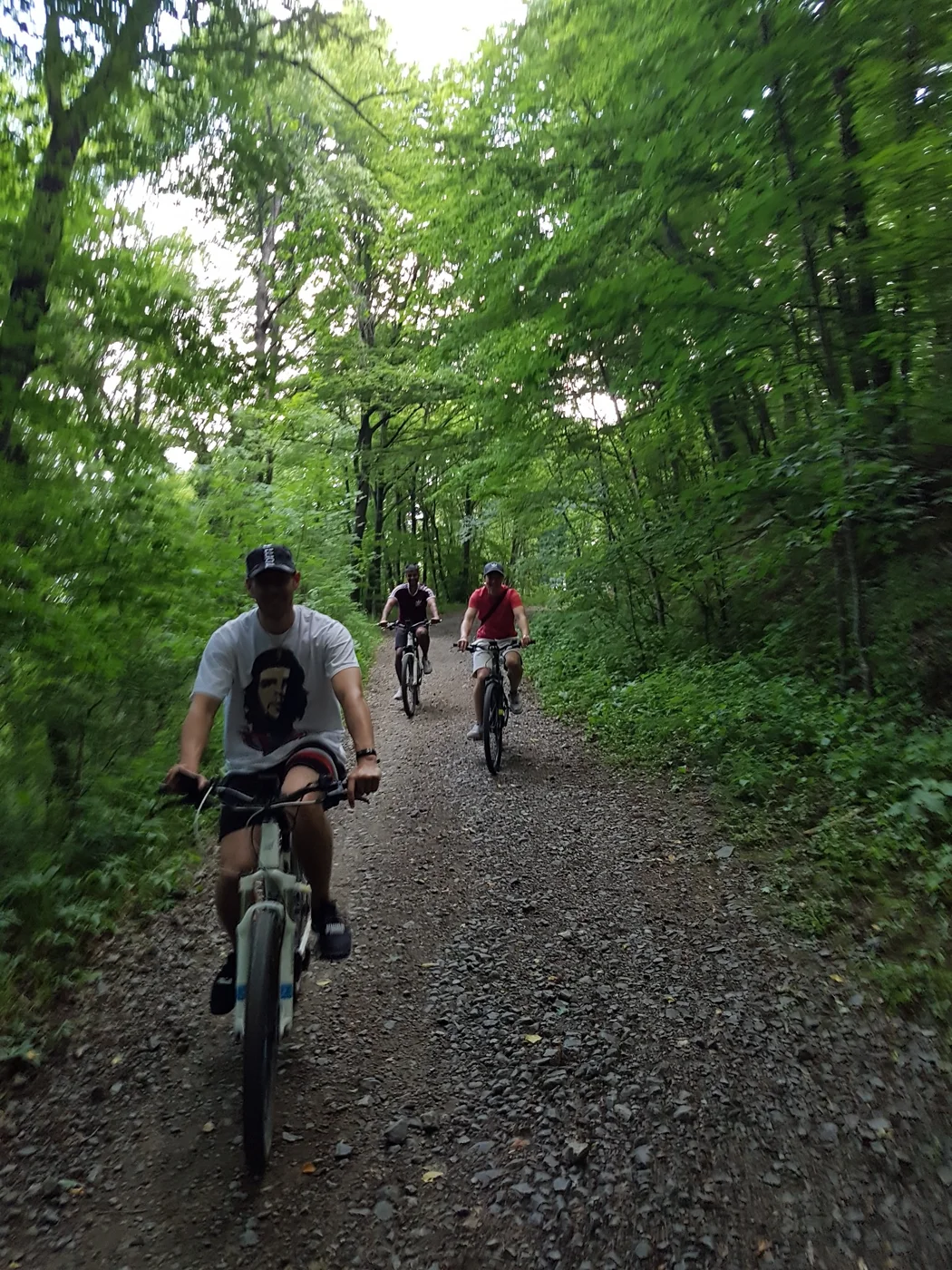 Real e-mountain bike tour with snowy Vitosha view